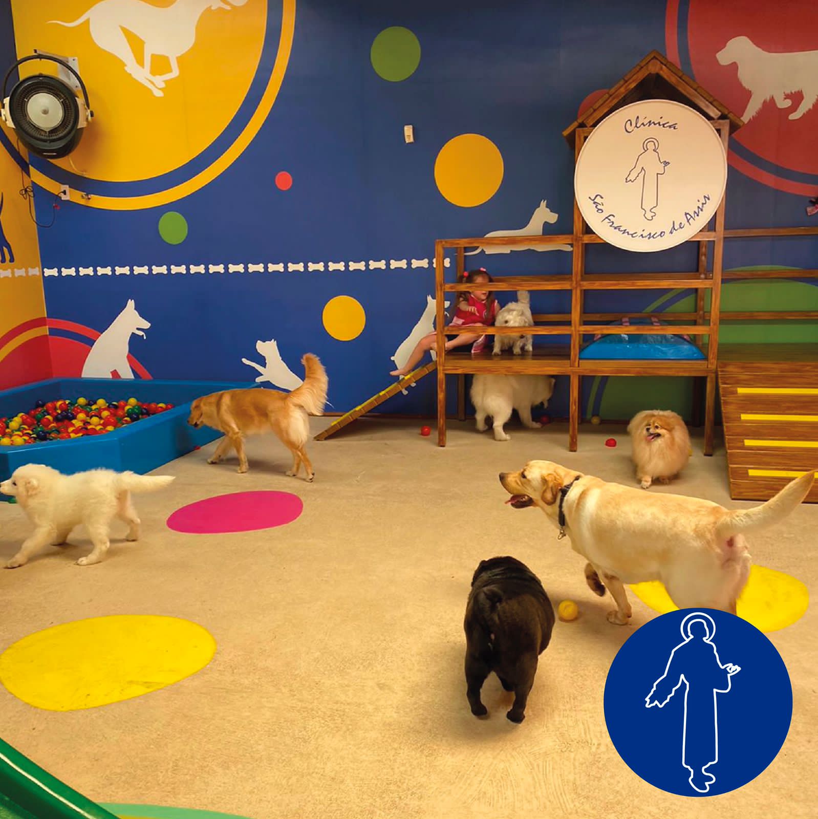 Clínica Veterinária e São Francisco de Assis