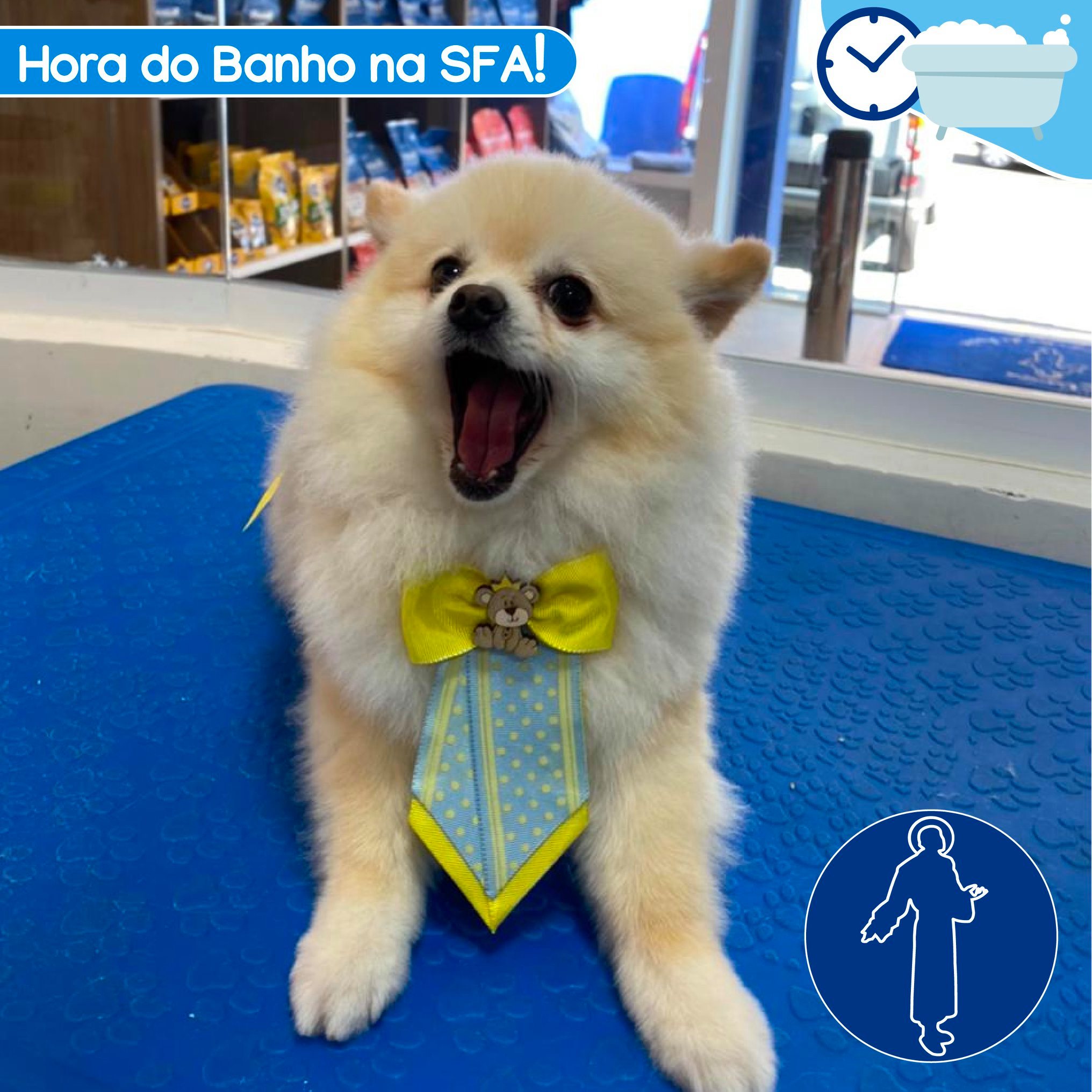 Clínica Veterinária e São Francisco de Assis